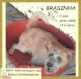 Brasinha