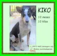 Kiko