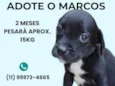 Marcos