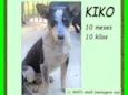 Kiko