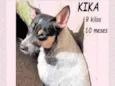 Kika