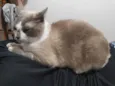 Jerry