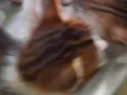 Não rem nome