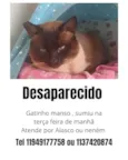 Alasco , Neném