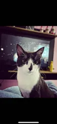 Pandora