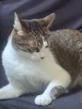 Nairóbi