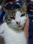 Nairóbi
