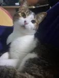 Nairóbi