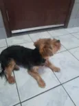 Não sei