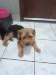 Não sei