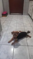 Não sei