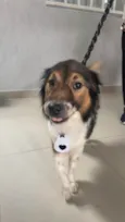 Bebê