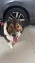 Bebê 