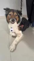 Bebê 