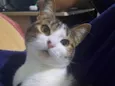 Nairóbi