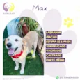 Max