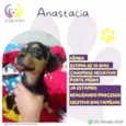 Anastacia