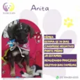 Anita