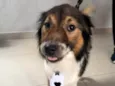 Bebê
