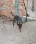 TINA