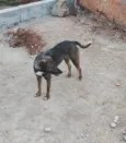 TINA