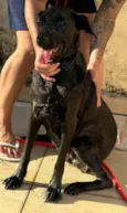 Kirra