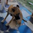 Bingo