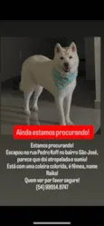 Raika