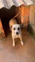 Não tem nome