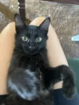 Tubo