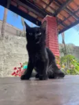 Tubo