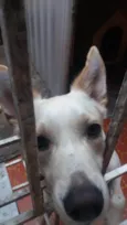 Marley