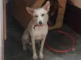 Marley