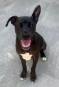 Théo