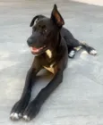Théo