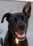 Théo