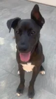 Théo