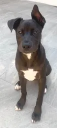 Théo