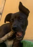 Théo