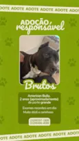 BRUTOS