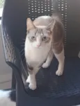 Mia