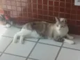 Mia