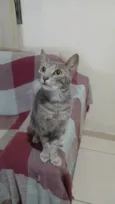 Lola