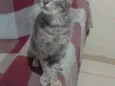 Lola