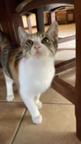 Nina 