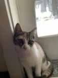 Nina