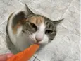 Nina