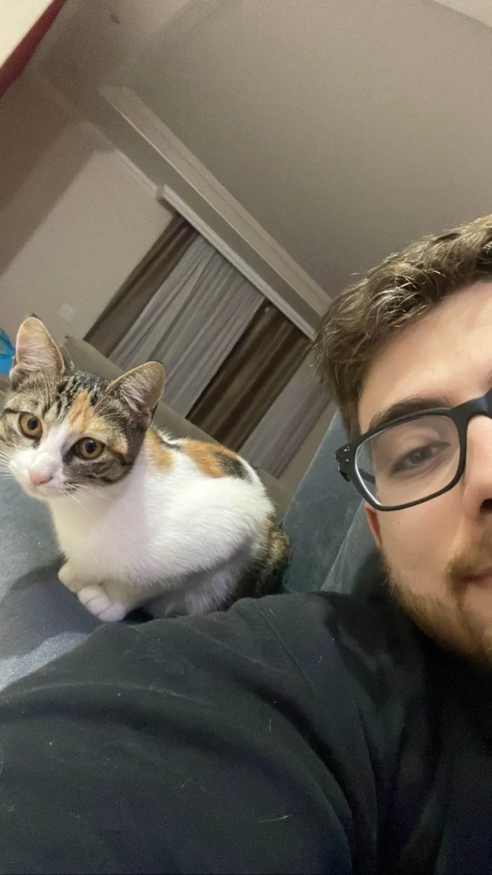 Gato ra a SRD-ViraLata idade 1 ano nome Nina 