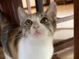 Nina 