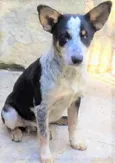 Kiko